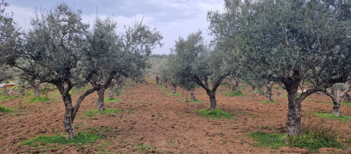 εικόνα ακινήτου