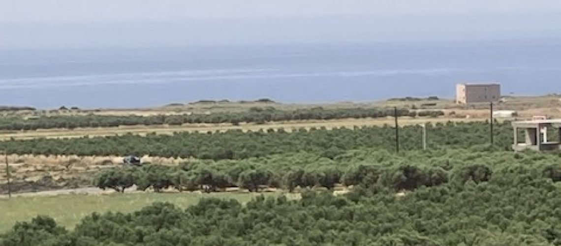 Μεγάλη έκταση προς πώληση στο Φραγκοκάστελλο Χανιά κοντά στο Κάστρο και τη θάλασσα Large plot of land for sale in Frangokastello Chania near the Castle and the sea εικόνα ακινήτου