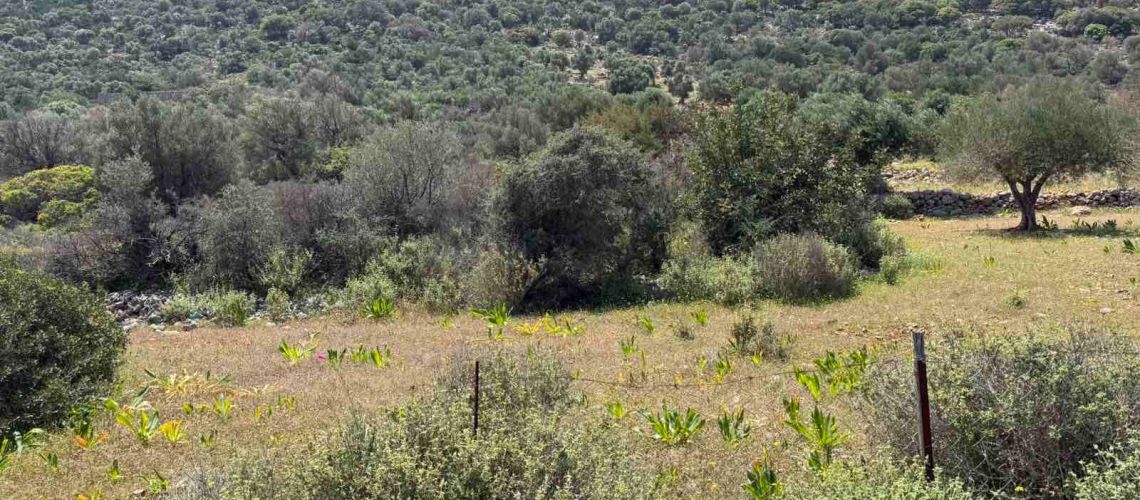 εικόνα ακινήτου