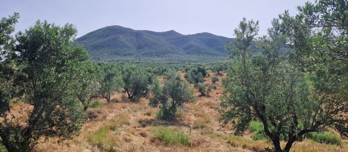 εικόνα ακινήτου