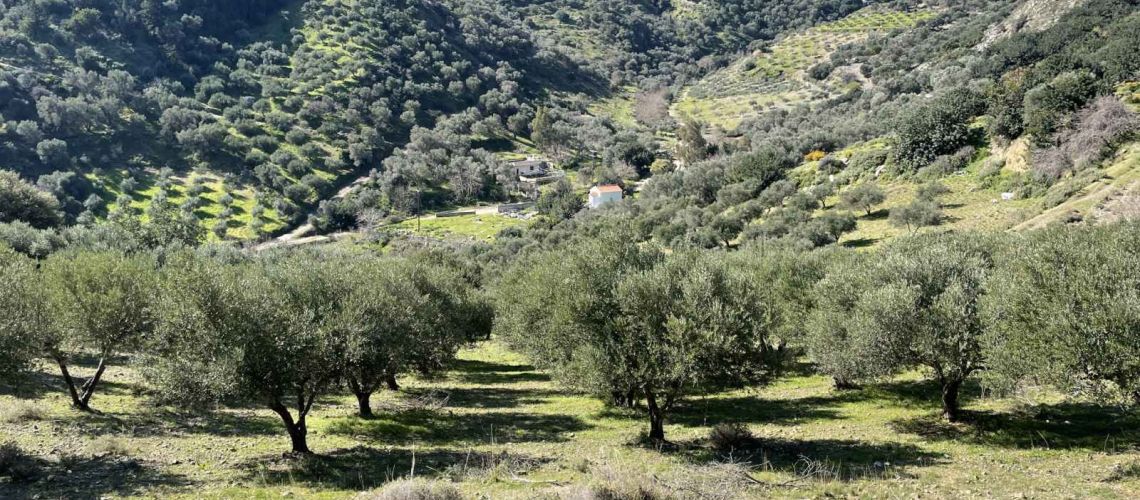 εικόνα ακινήτου