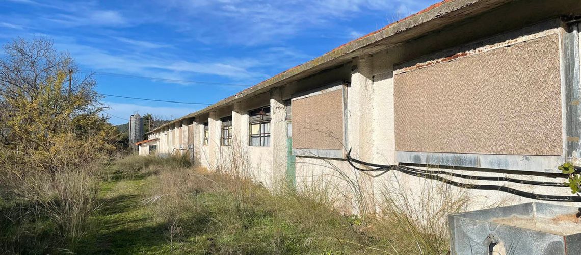 Επαγγελματικό Κτίριο στη Μαλακάσα – Πώληση Βιομηχανικού Ακινήτου Commercial Building in Malakasa – Industrial Property for Sale εικόνα ακινήτου