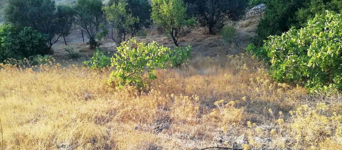 εικόνα ακινήτου