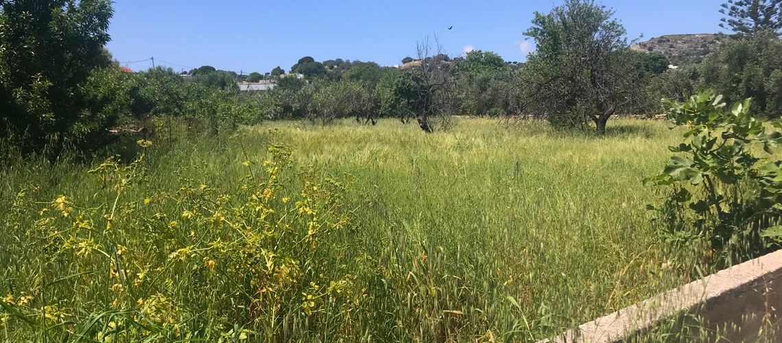 εικόνα ακινήτου