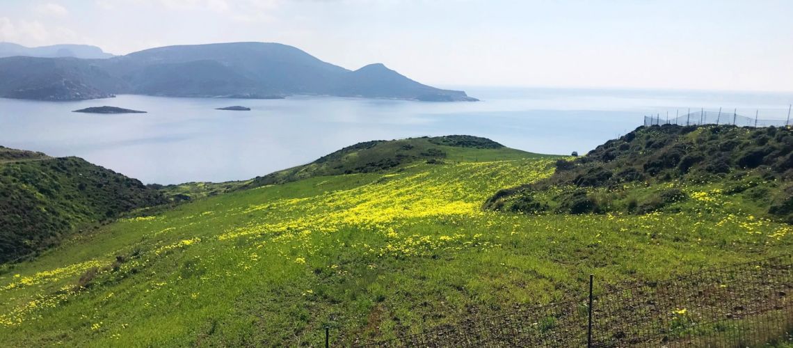 εικόνα ακινήτου