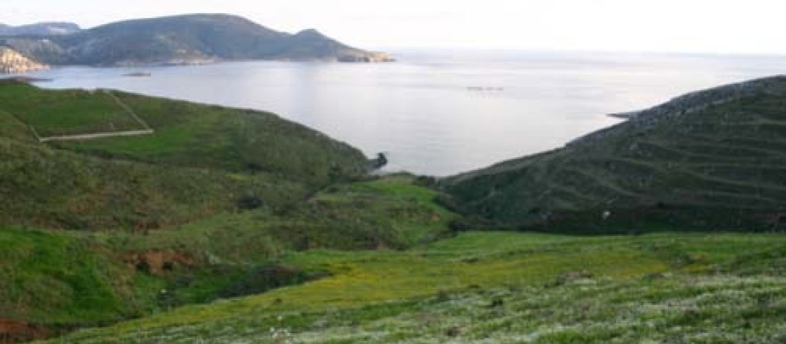 Πωλείται τεράστιο οικόπεδο με παραθαλάσσια πρόσβαση και θέα θάλασσα Κατακρωτήρι Λέρου Huge plot of land for sale with seaside access and sea view, Katakrotiri, Leros εικόνα ακινήτου