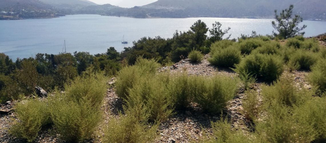 Επενδυτικό οικόπεδο για πώληση με θέα στο φυσικό κόλπο Λακκίου Λέρος Investment plot for sale with view to the natural bay of Lakki, Leros εικόνα ακινήτου
