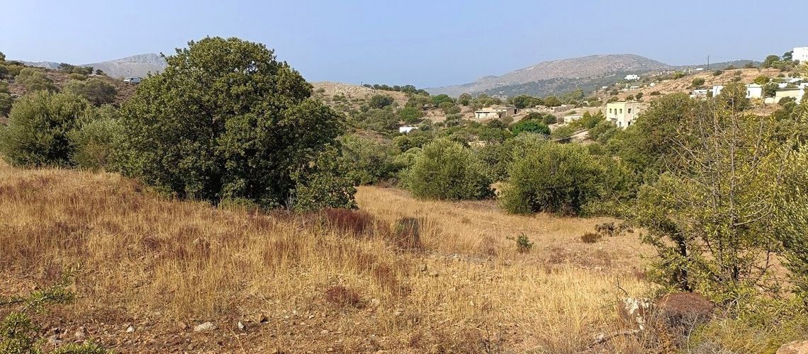 Επενδυτική πρόταση οικοδομήσιμα οικόπεδα στα Τεμένια Λέρου Investment proposal for building plots in Temenia, Leros εικόνα ακινήτου