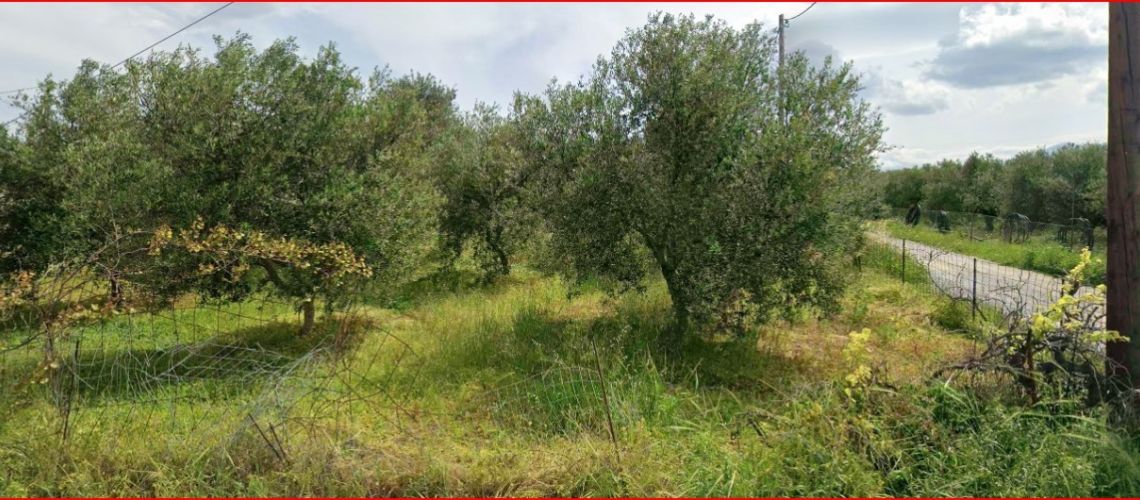 Πωλείται οικόπεδο ιδανικό για κατοικία Κολυβάς Γάζι Ηράκλειο Κρήτης Plot of land for sale, ideal for residential use, Kolyvas, Gazi, Heraklion, Crete εικόνα ακινήτου