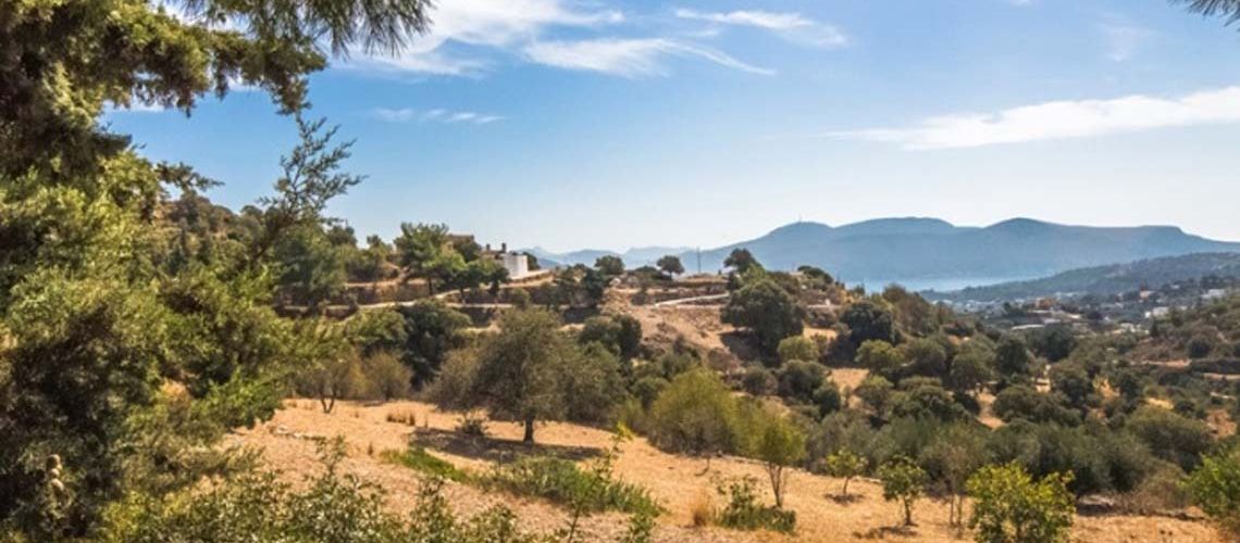 Οικόπεδο για πώληση σε καταπράσινη τοποθεσία και θέα Αιγαίου Ράχη Λέρος Plot for sale in a green location and view of the Aegean Sea Rachi Leros εικόνα ακινήτου