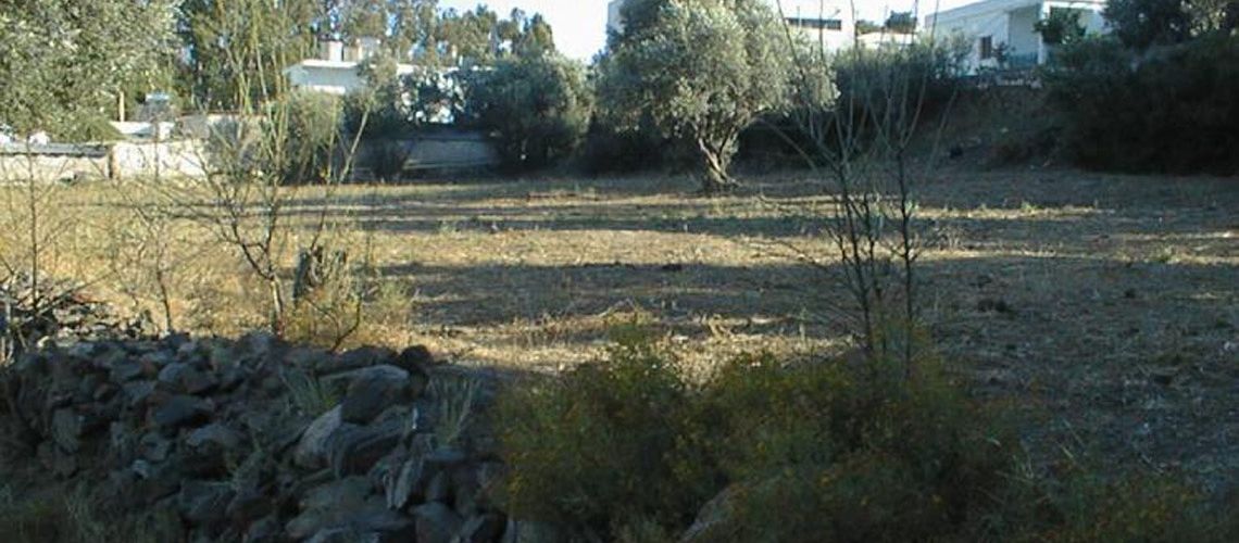 Πωλείται οικόπεδο κατάλληλο για δόμηση Άγιος Θεολόγος, Λακκί Λέρος Land suitable for building for sale in Saint Theologos, Lakki, Leros εικόνα ακινήτου