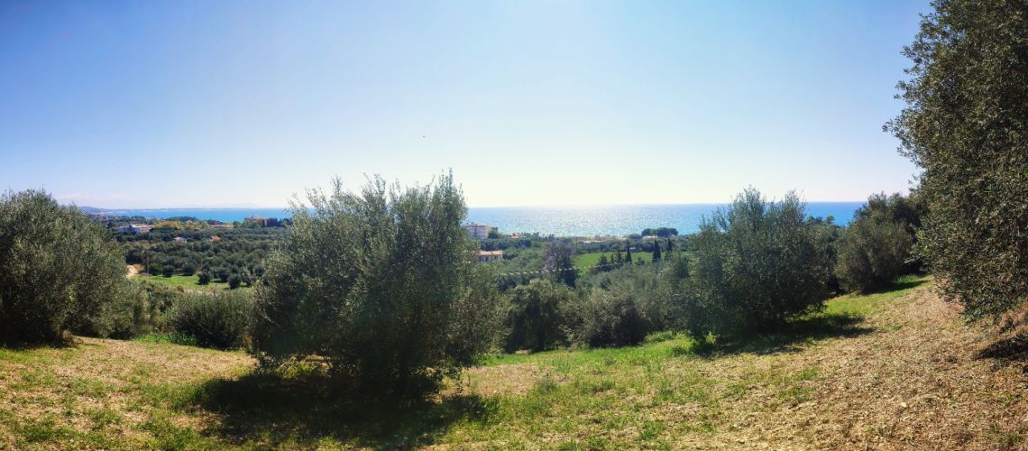 Ιδανικό οικόπεδο για πώληση με θέα στο Ιόνιο για κατασκευή κατοικίας Καστροσυκιά Πρέβεζα εικόνα ακινήτου