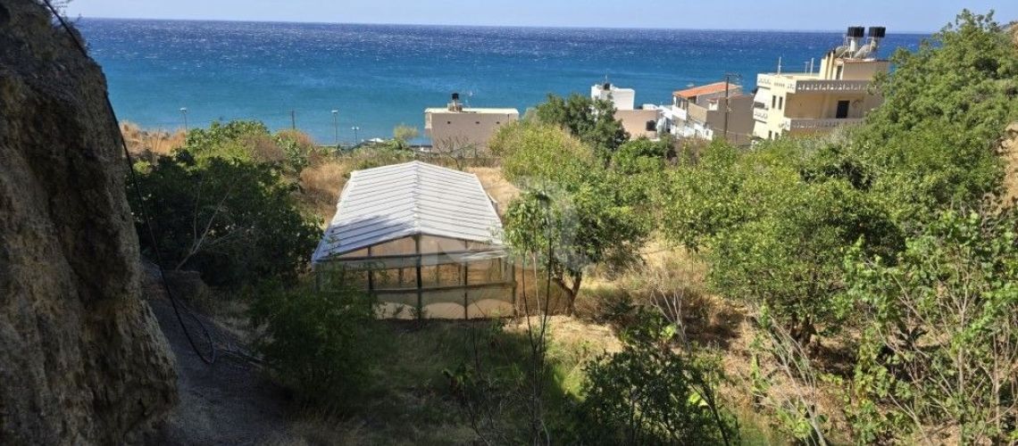 Ιδανικό για επένδυση οικόπεδο δίπλα στη θάλασσα στον Τσούτσουρα Κρήτη εικόνα ακινήτου