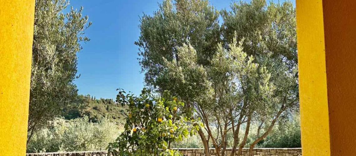 Πωλείται επιπλωμένη μονοκατοικία με τζάκι σε καταπράσινο περιβάλλον Κάτω Καλέσσα Ηράκλειο Κρήτης εικόνα ακινήτου