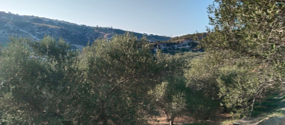 Πωλείται οικόπεδο οικοδομήσιμο σε προνομιακή θέση Σταυράκια-Δαφνές Ηρακλείου εικόνα ακινήτου