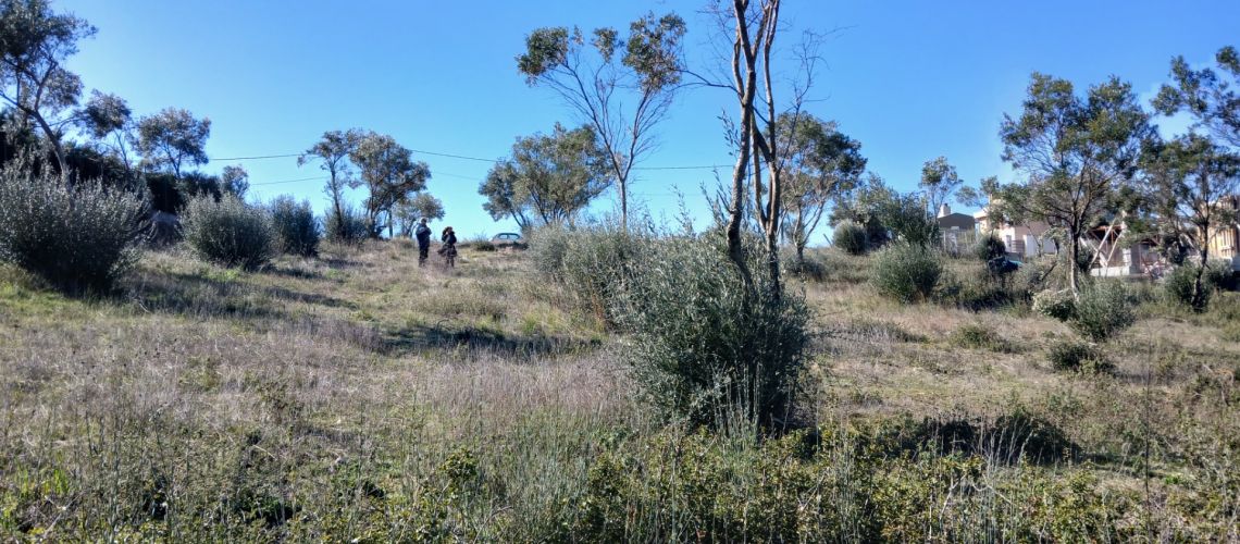 εικόνα ακινήτου