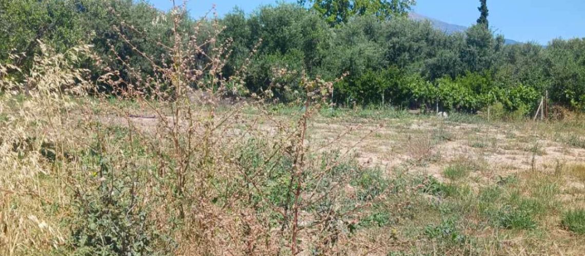 εικόνα ακινήτου