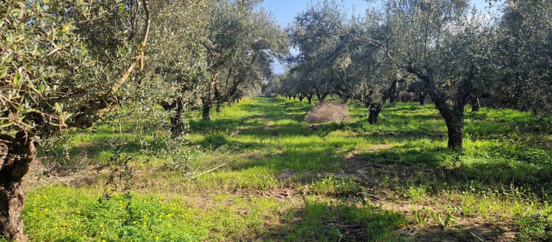 εικόνα ακινήτου