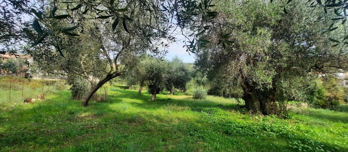 εικόνα ακινήτου