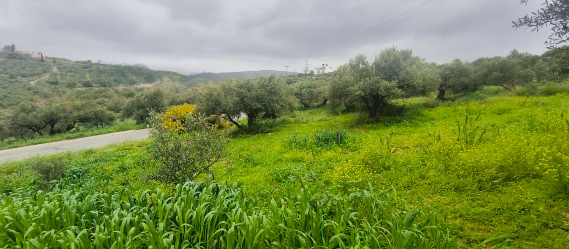 εικόνα ακινήτου
