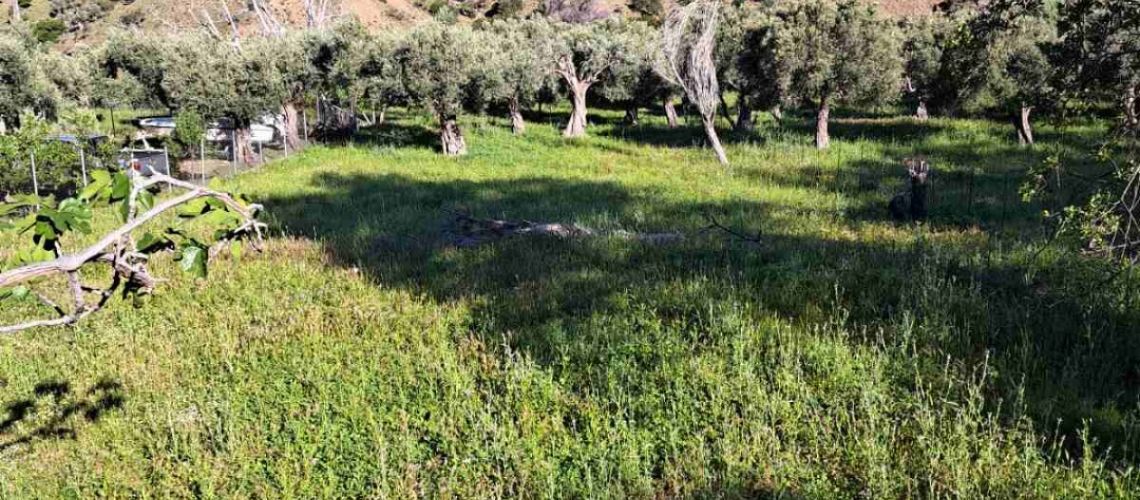 εικόνα ακινήτου