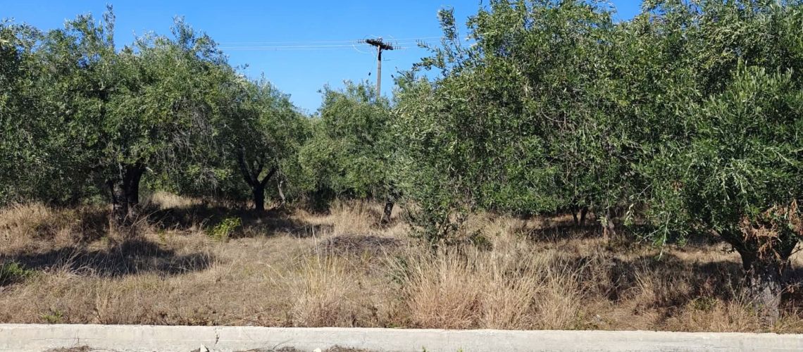 εικόνα ακινήτου