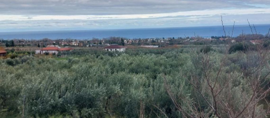 εικόνα ακινήτου