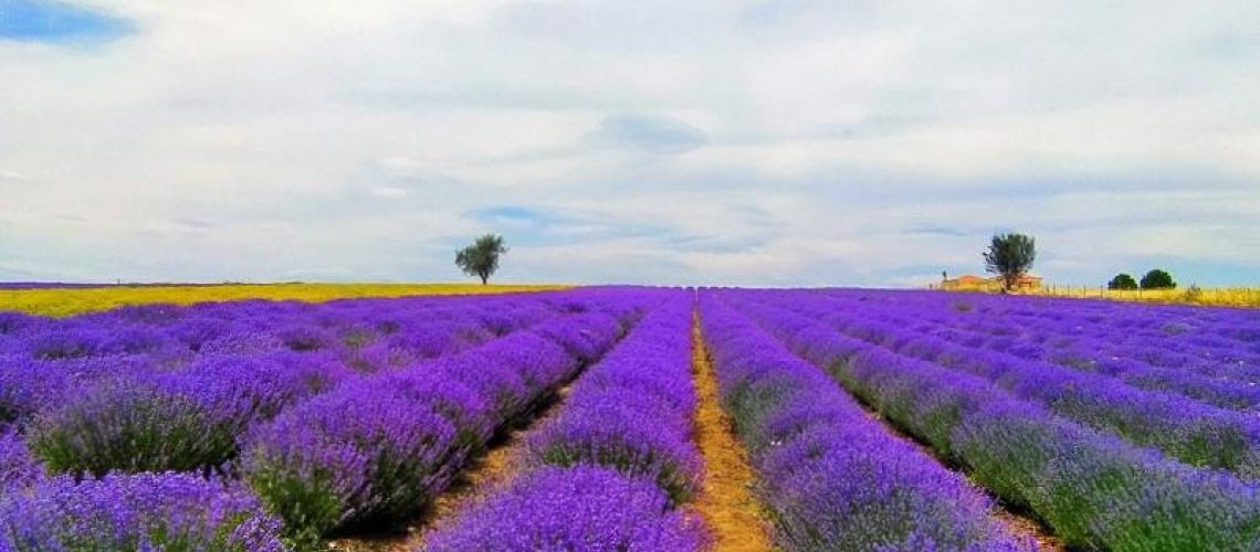 εικόνα ακινήτου