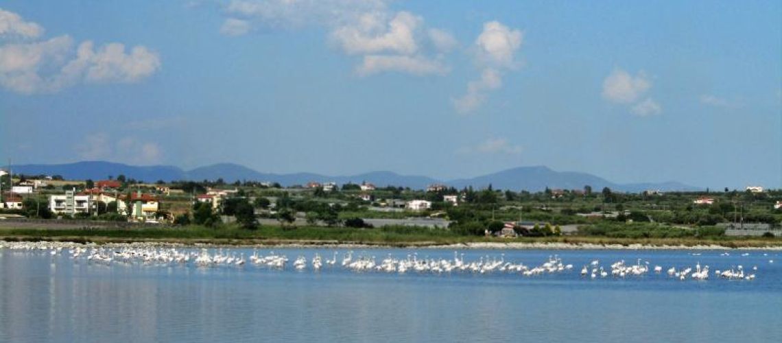 εικόνα ακινήτου