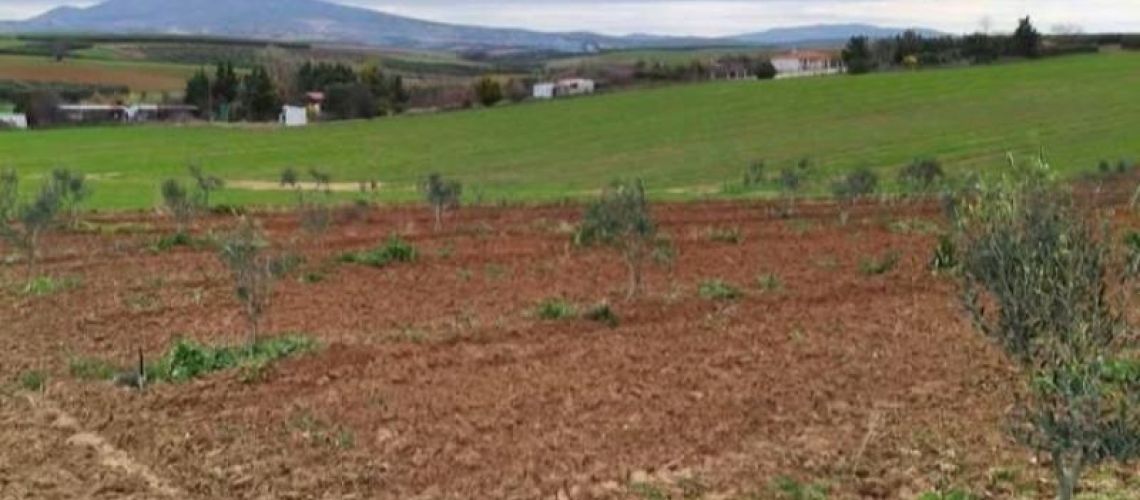 εικόνα ακινήτου