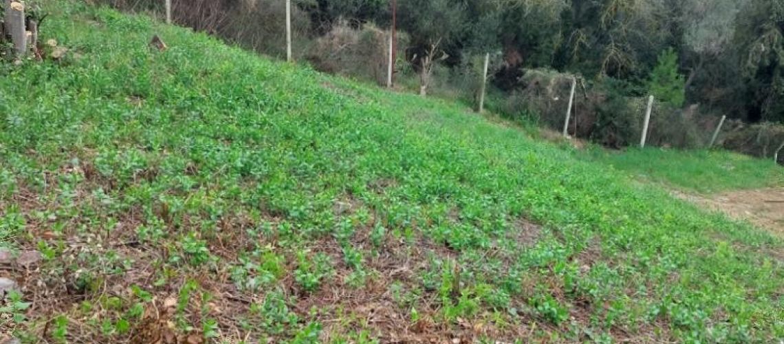 εικόνα ακινήτου