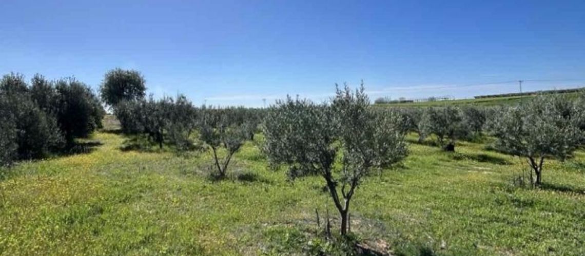 εικόνα ακινήτου