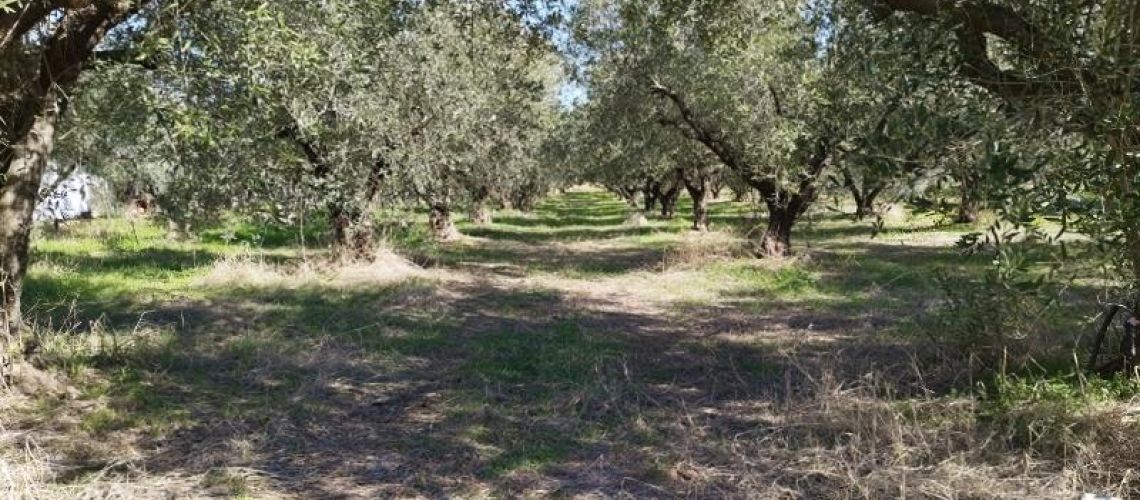 εικόνα ακινήτου