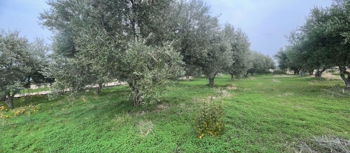 εικόνα ακινήτου