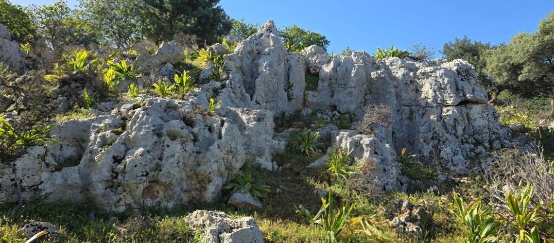 εικόνα ακινήτου
