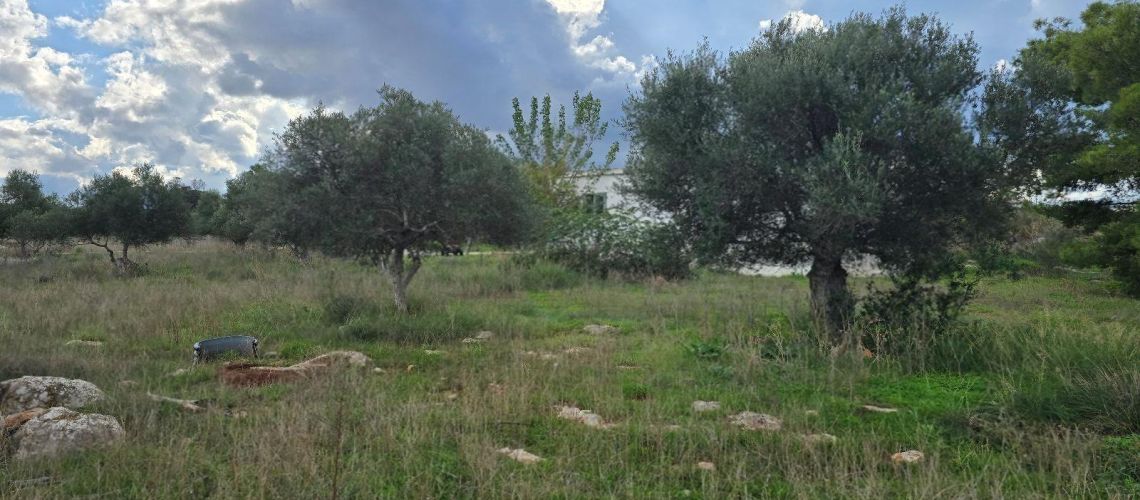 εικόνα ακινήτου