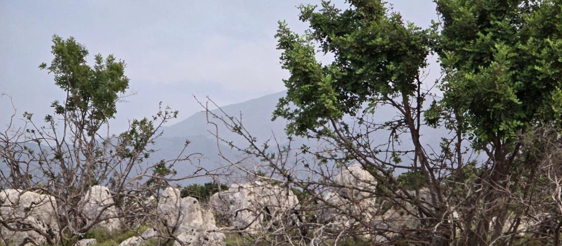 εικόνα ακινήτου