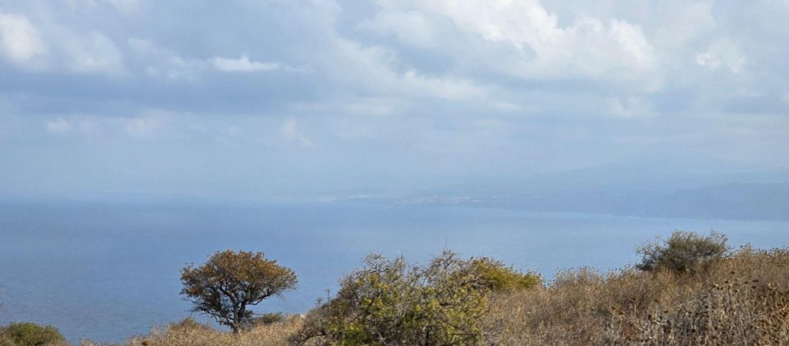 εικόνα ακινήτου