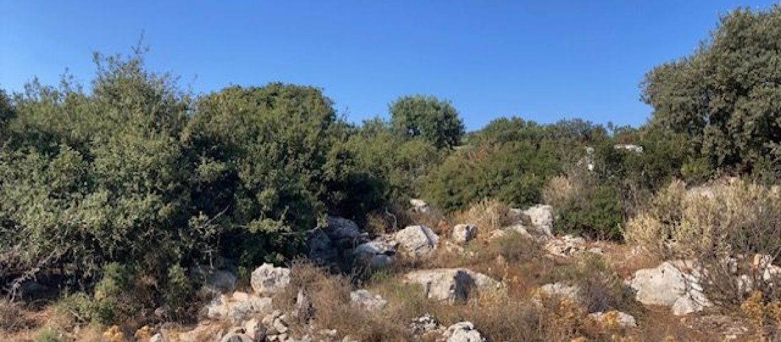 εικόνα ακινήτου