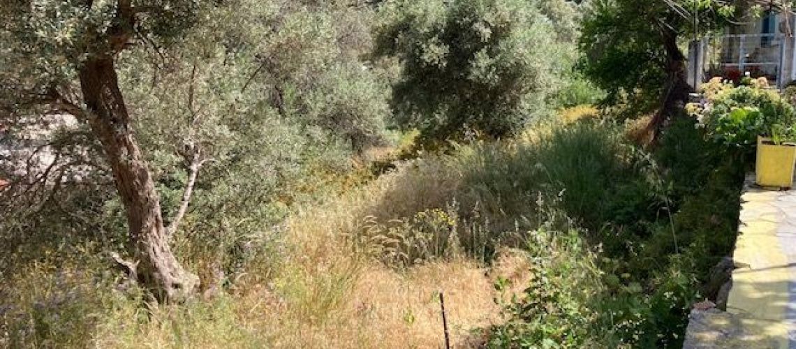 εικόνα ακινήτου