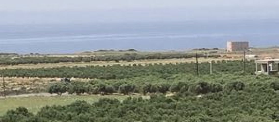εικόνα ακινήτου