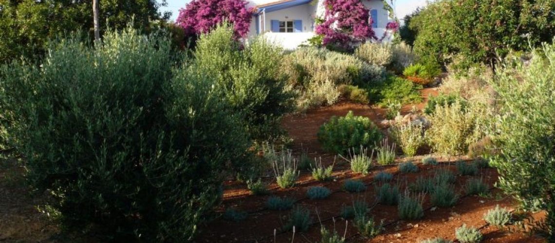 εικόνα ακινήτου