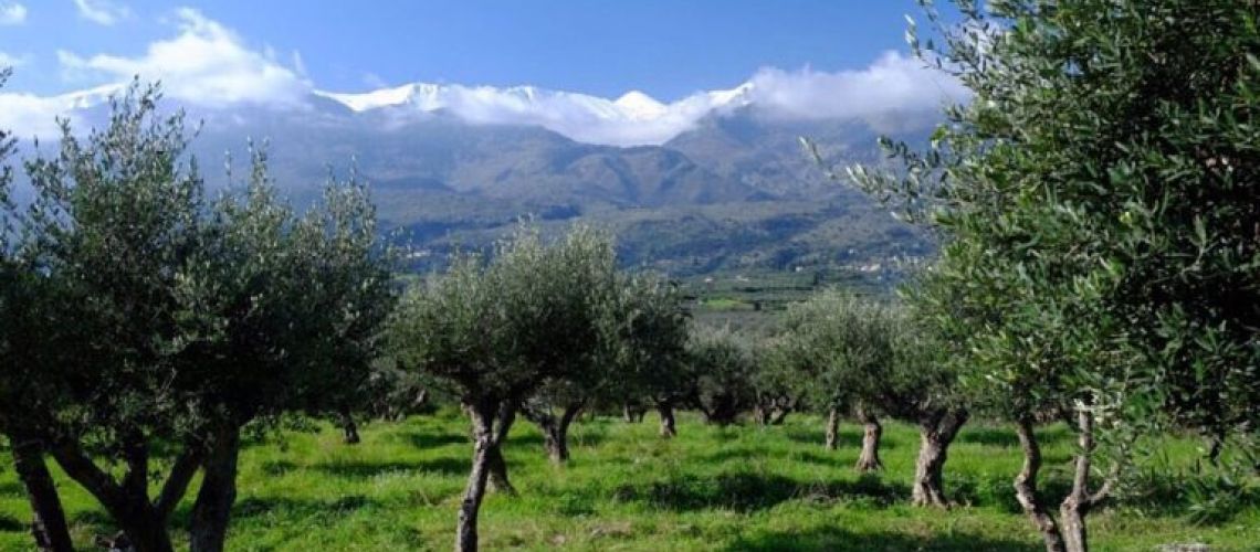 εικόνα ακινήτου