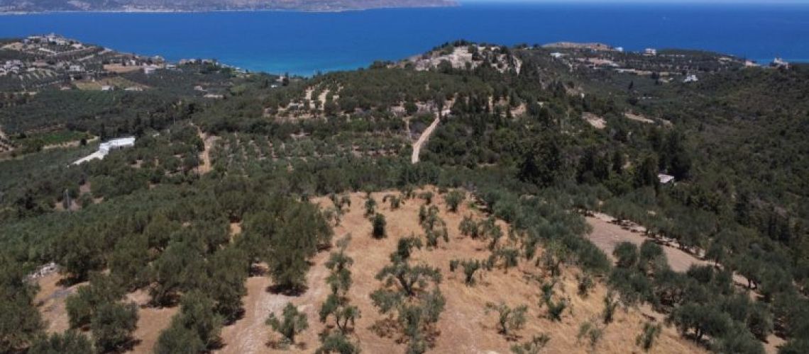 εικόνα ακινήτου
