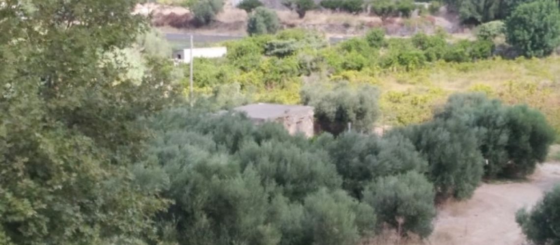 εικόνα ακινήτου