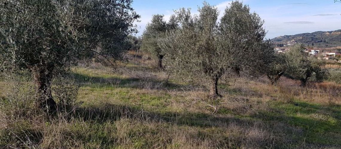 εικόνα ακινήτου