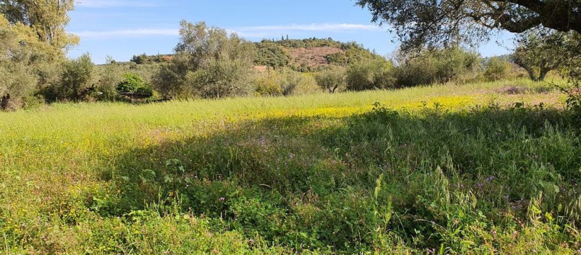 εικόνα ακινήτου