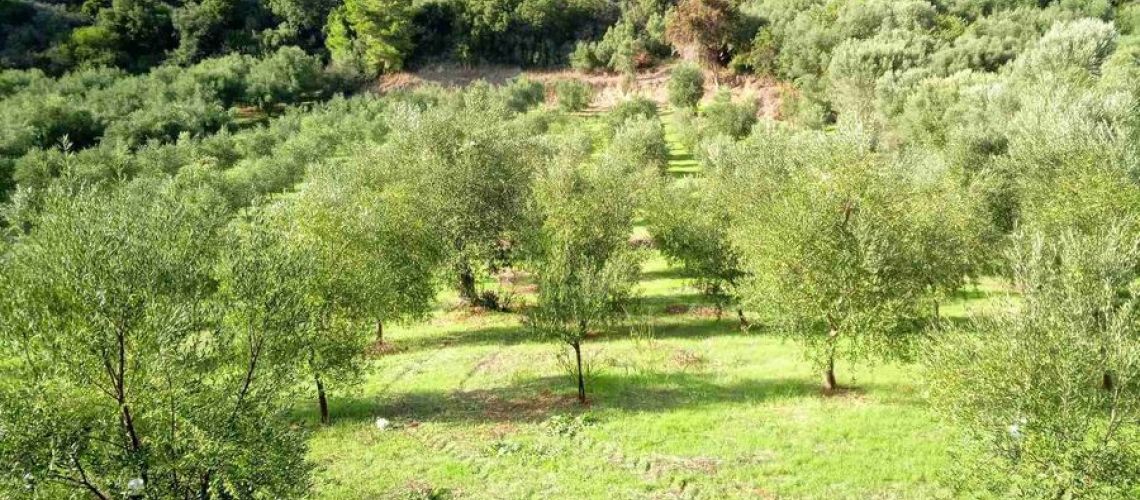 εικόνα ακινήτου