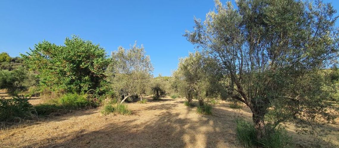εικόνα ακινήτου