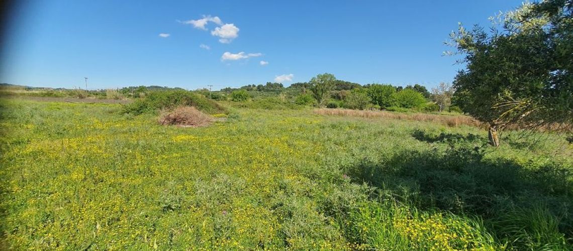 εικόνα ακινήτου